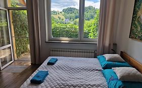 Zielona Przystań Apartament z widokiem na Pieniny