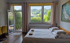 Zielona Przystań Apartament z widokiem na Pieniny