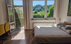Zielona Przystań Apartament z widokiem na Pieniny